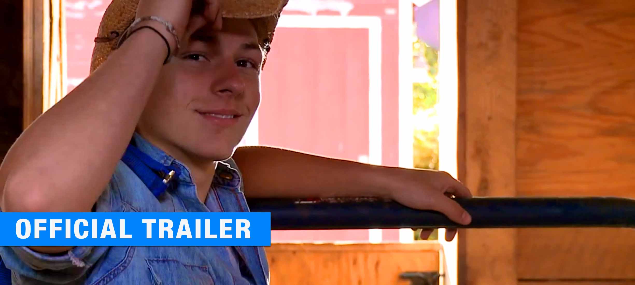 Horse crazy trailer